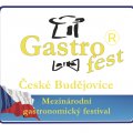 Pozvánka na mezinárodní gastronomický festival - GASTROFEST 2014